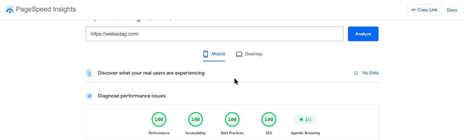 Google PageSpeed Insights report for weleadag.com on mobile: 100 performance, 100 accessibility, 100 best practices, 100 SEO